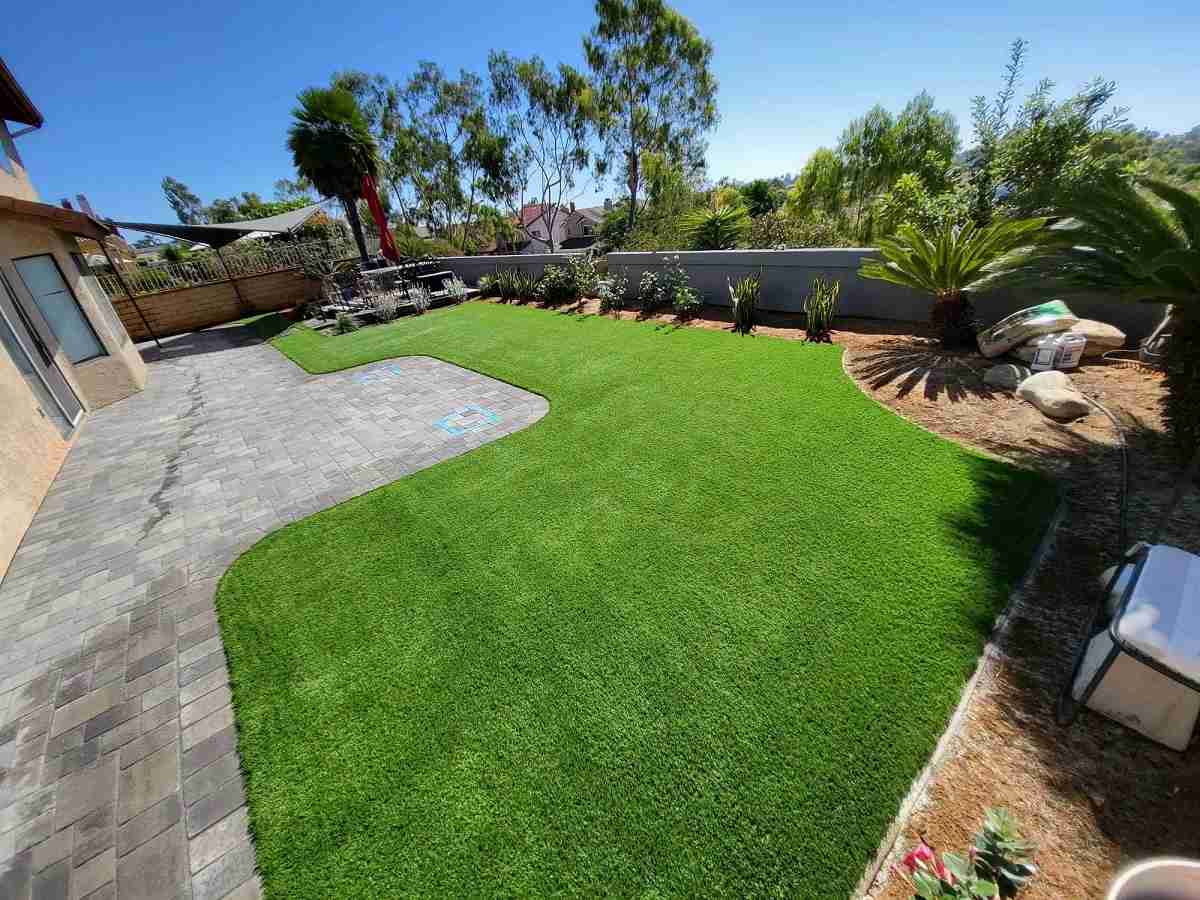 Artificial turf lawn with a curved paver patio, palms and new planting in Carlsbad