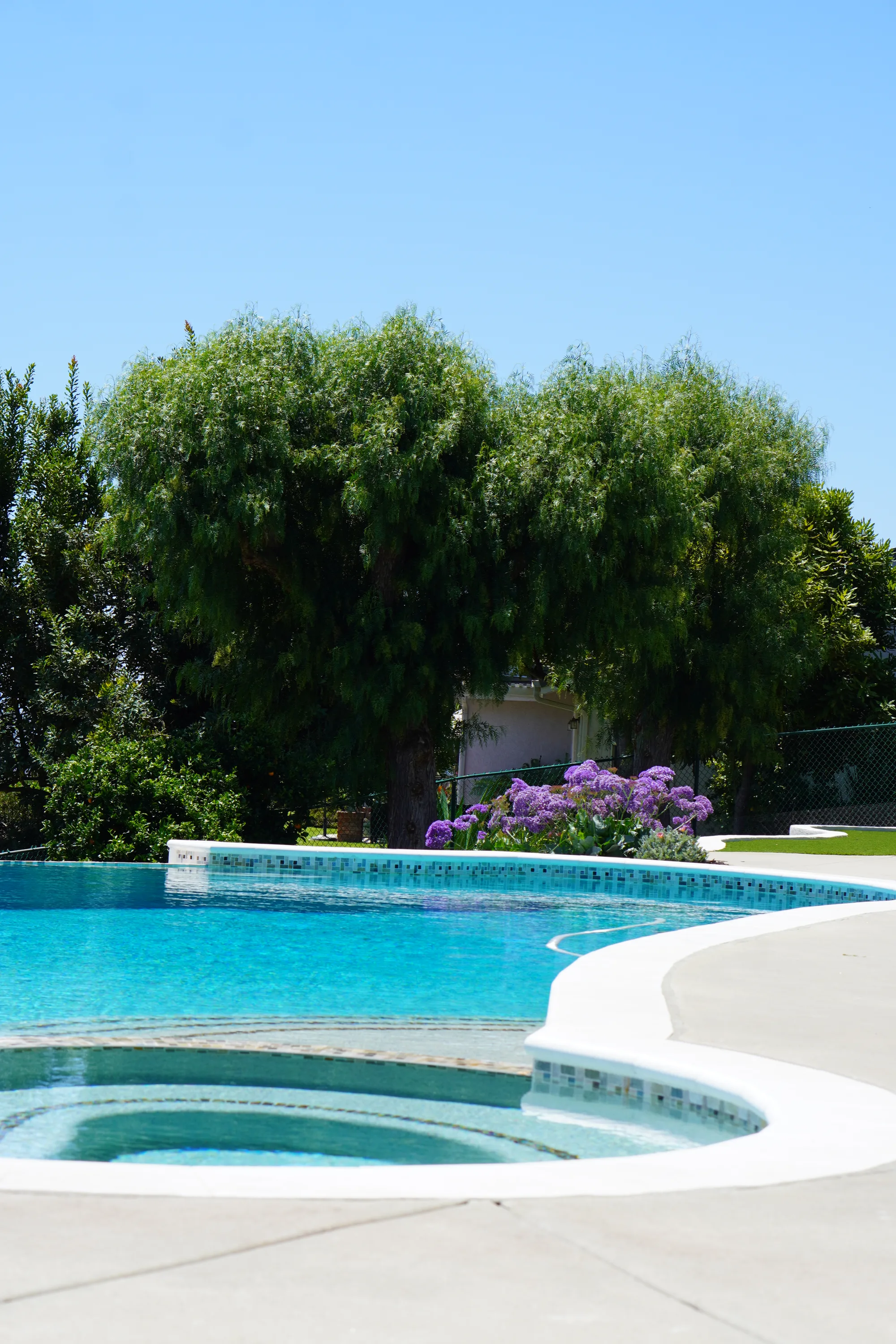Pool and raised spa with a mature pepper tree behind in Fallbrook